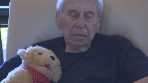 azfampets_5.jpg