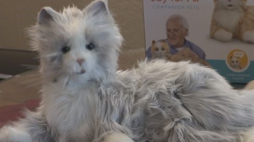 azfampets_2.jpg